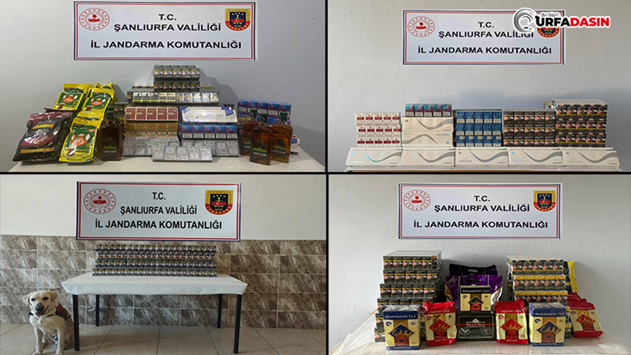 Şanlıurfa'da Peş Peşe Kaçakçılık Operasyonları: