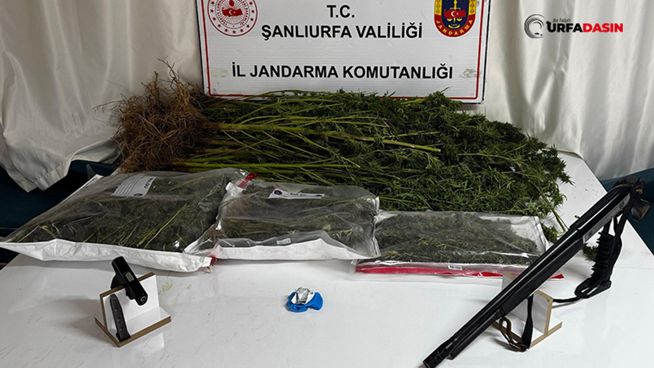 Şanlıurfa’nın Bir İlçesinde Esrar ve Silah Ele Geçirildi