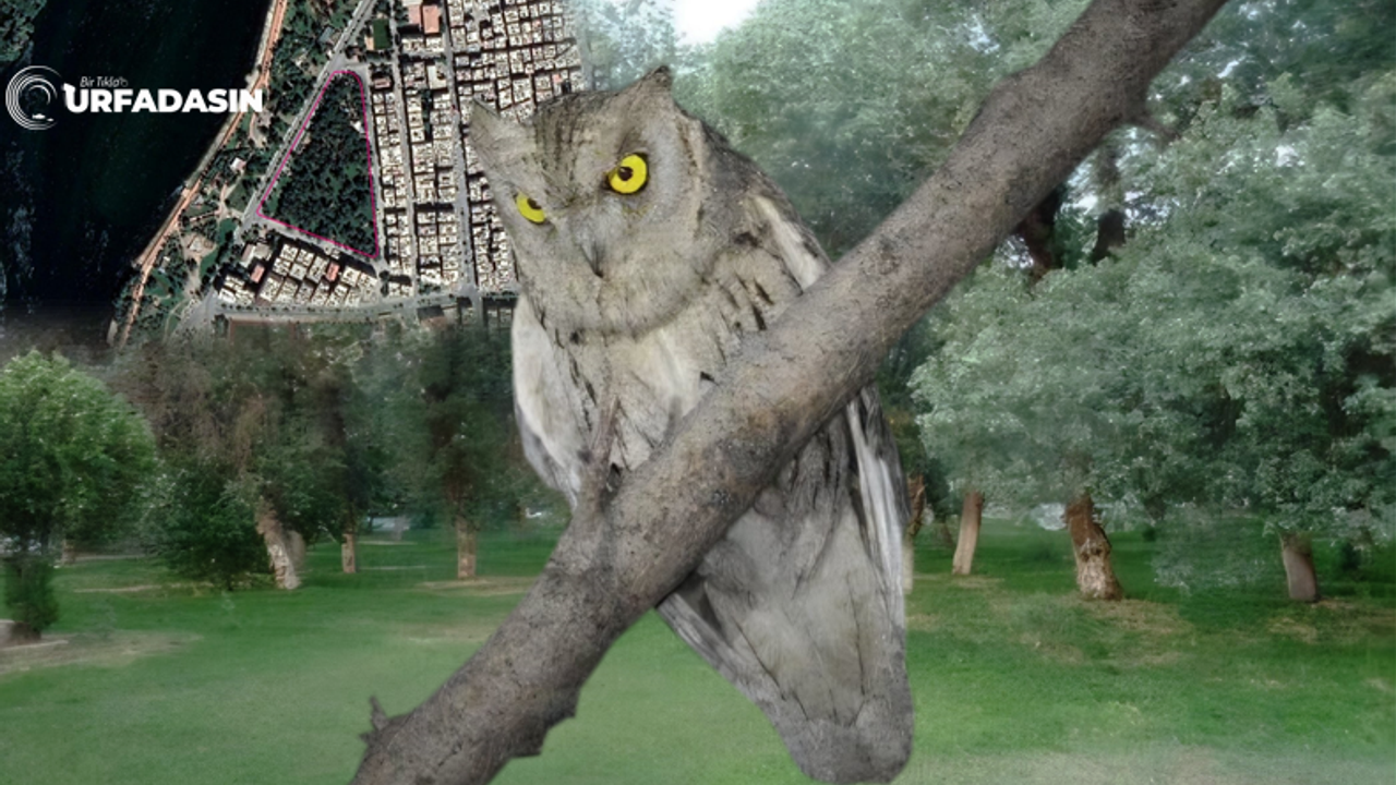 Şanlıurfa'da Bir Doğal Alan Daha Koruma Altına Alındı