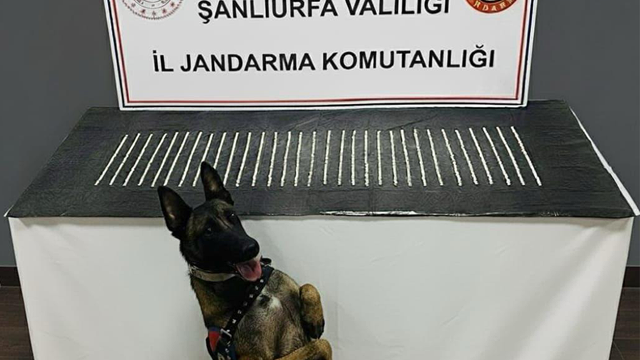 Şanlıurfa’da Bin 200 Narkotik Hap Ele Geçirildi: 3 Gözaltı