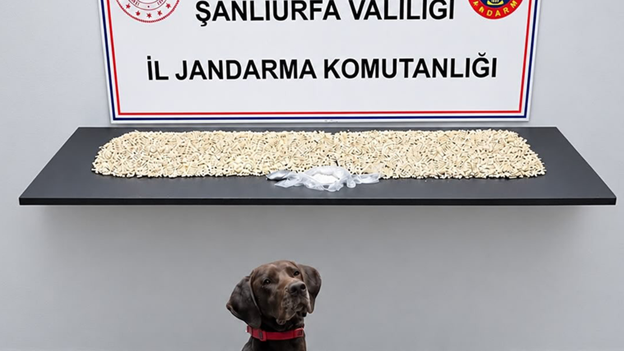 Bir Evde Binlerce Ele Geçirildi: 1 Gözaltı