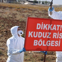 GÜNDEM