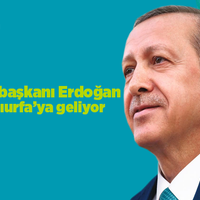 SİYASET