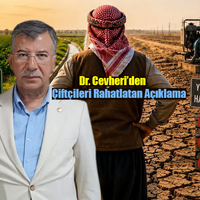 SİYASET