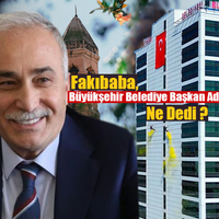 SİYASET