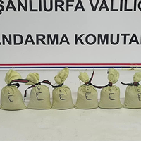 GÜNDEM