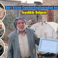 SİYASET