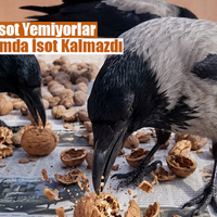 GÜNDEM