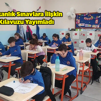 Eğitim