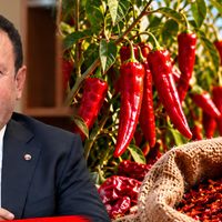 EKONOMİ