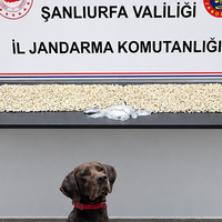GÜNDEM