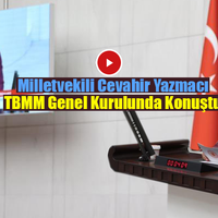 SİYASET