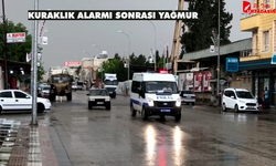 Beklen Yağış Geldi, Urfa Sabaha Yağmurla Uyandı