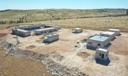 Şanlıurfa Hayvan Rehabilitasyon Merkezi İnşaatı Hızla Yükseliyor