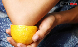 Limon sağlık için oldukça önemli. Peki posasının yararları var mı?