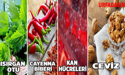 Vücuttaki İltihabı Tamamen Temizliyor!