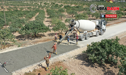  Birecik İlçesinde Çelik Hasırlı Beton Yol Yapılıyor