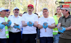 Urfa'da, Çevre Haftasında Doğaya Keklik Salındı