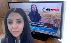 Öğretmenliği Bıraktı Çiftçilik Yapmaya Başladı Ondan da Bir Tat Alamadı