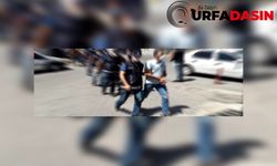 Şanlıurfa'da Şafak Baskını 14 Gözaltı