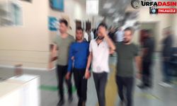 Şanlıurfa'da Hırsızlara Şafak Operasyonu:8 Gözaltı