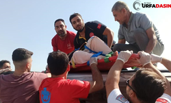 Şanlıurfa Mardin Yolunda Trafik Kazası:4 Yaralı