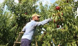 Bilecik'te Üretiliyor Şanlıurfa'ya da Gönderiliyor