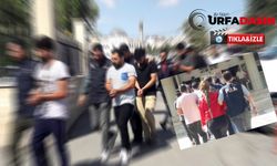 Şanlıurfa'daki Terör Operasyonunda Tutuklamalar Var