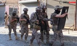 Şanlıurfa'da Terör Operasyonu Gözaltı Var