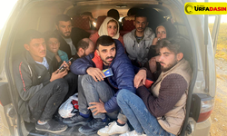 Şanlıurfa'da Çok Sayıda Göçmen Kaçakçısı ve Organizatörü Yakalandı