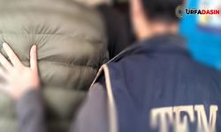 Şanlıurfa'da DEAŞ Operasyonu Gözaltı Var