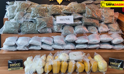 Urfa'da Piyasa Değeri 3 Milyonun Üzerinde Uyuşturucu Ele Geçirdi
