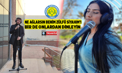 Harran Üniversitesi Müzik Bölümünden Alkışlanacak Çalışma