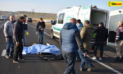 Kasım Ayında Urfa'yı Terör Değil Trafik Kazaları Vurdu:500 Yaralı