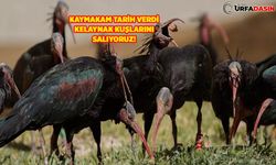 Kaymakam Duman: 75 Bin 524 Kişi Ziyaret Etti