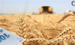 Çiftçilere Müjde: Destekleme Ödemeleri Başladı
