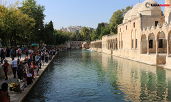 Şanlıurfa Kaba Ölüm Hızı Az Olan İller Arasında