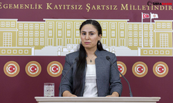 Urfa Milletvekili Ayşe Sürücü'den İçme Suyu İddiası