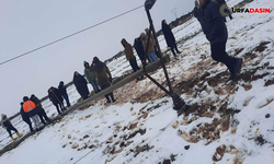 Viranşehir’de Kar Nedeniyle Elektrik Direkleri Devrildi