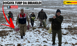 Şanlıurfa, Yaban Hayvanları İçin Seferber Oldu