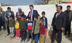 Kaymakam Depremzede Çocukları Okula Döndürmek İçin Ter Döktü