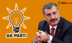 AK Parti, Fahrettin Koca’yı Urfa’dan mı Aday Gösterecek
