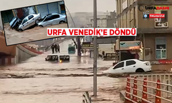 Şanlıurfa'da Sağanak Sele Döndü