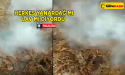 Uzmanından Açıklama Geldi! Viranşehir’deki Bu Görüntünün Gizemi Çözüldü