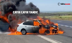 Siverek Şanlıurfa Yolunda Otomobil Alev Aldı