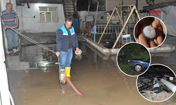 Ceylanpınar’da Sağanak Yağış, Dolu ve Fırtına Hayatı Felç Etti