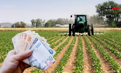 Tarımsal Destekleme Ödemeleri Hesaplara Yatıyor
