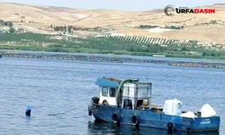 Şanlıurfa’da Piknik Faciası: 2 ölü, 3 Yaralı