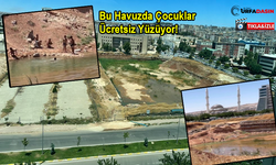 5 Yıldızlı Adliye Binası Havuzunda Çocuklar Yüzmeye Devam Ediyor!
