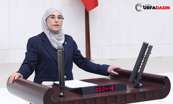 Cevahir Asuman Yazmacı'dan Yangınlarla İlgili Sağduyu Çağrısı